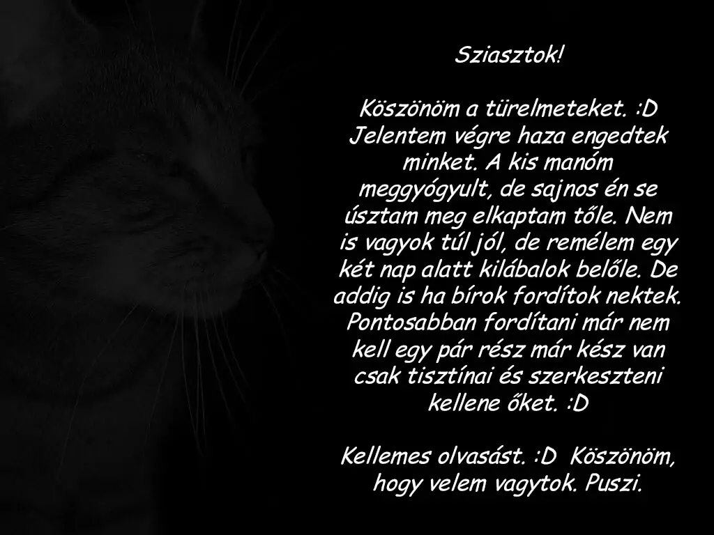 32160663 1024 768 56066