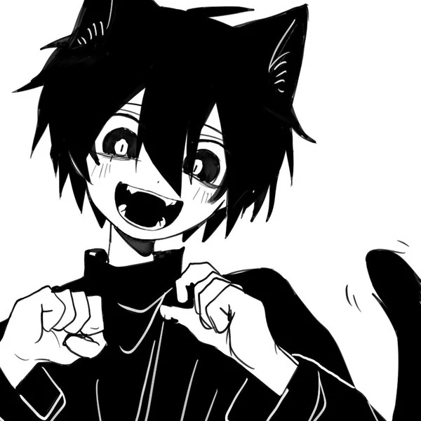 Magic 8-Ball Cat